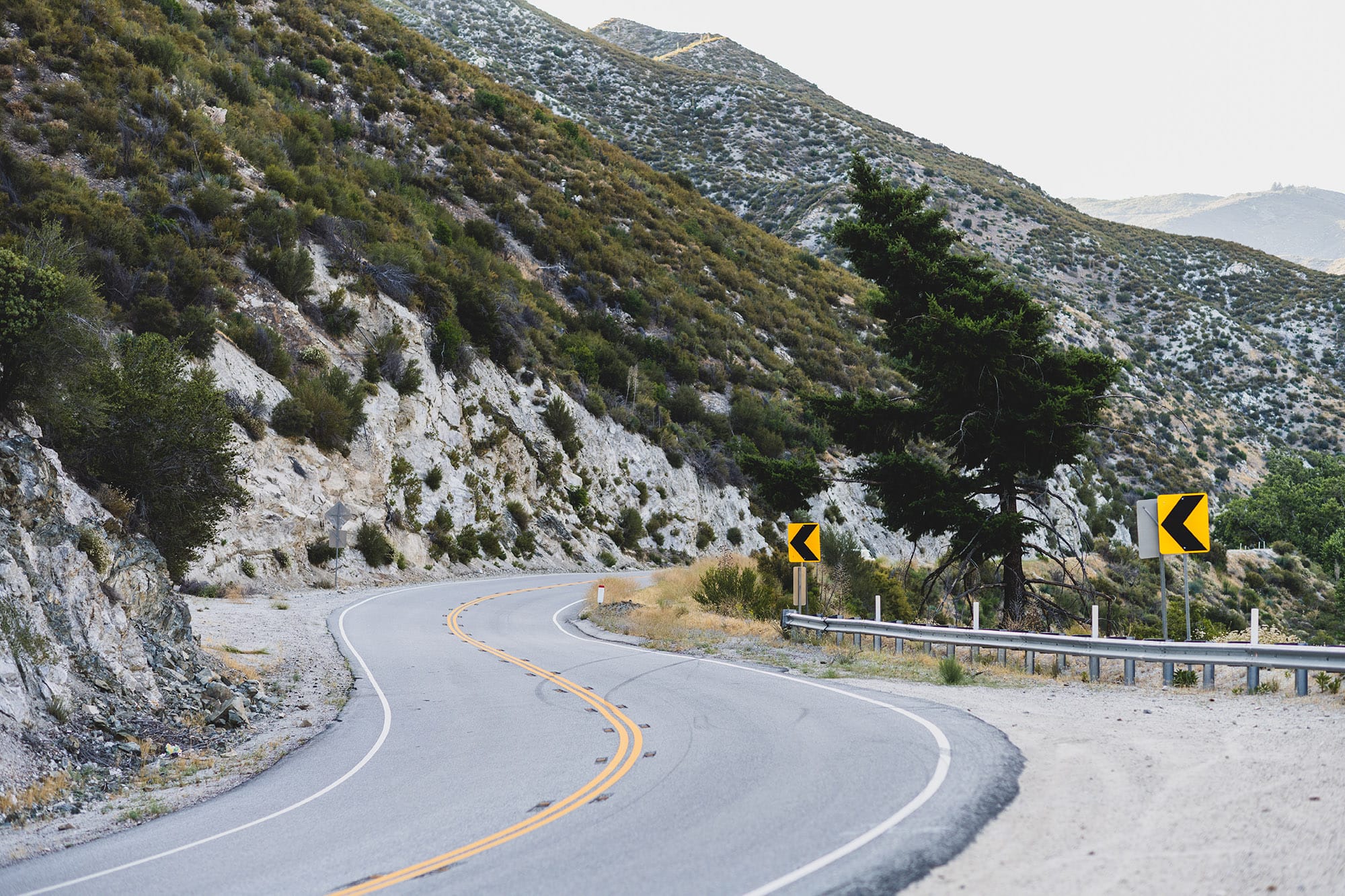 Angeles National Forest