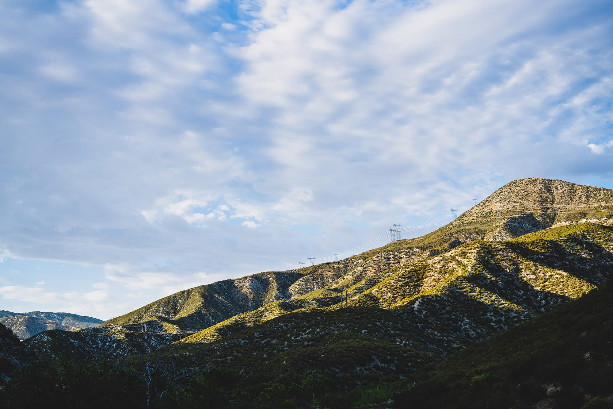 Angeles National Forest