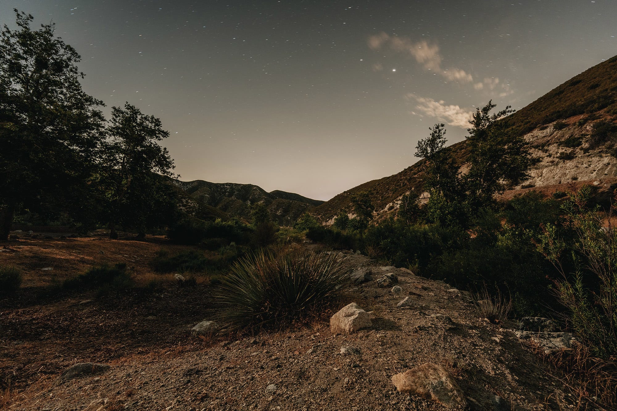 Angeles National Forest