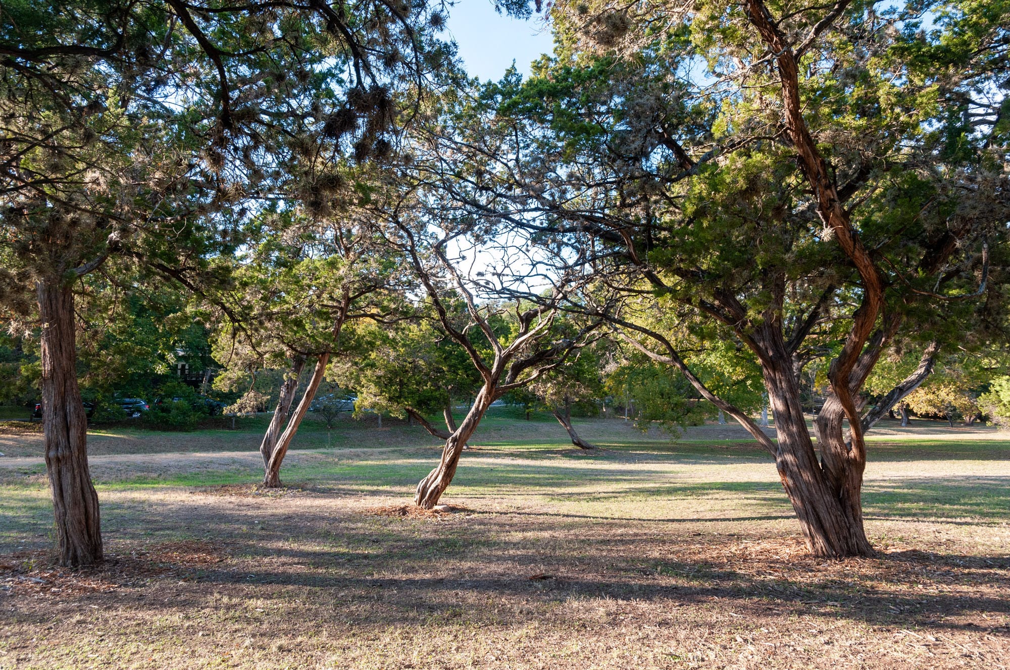 Austin, TX