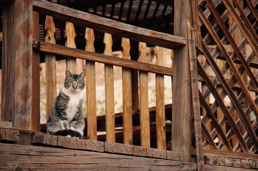 Calico Ghost Town