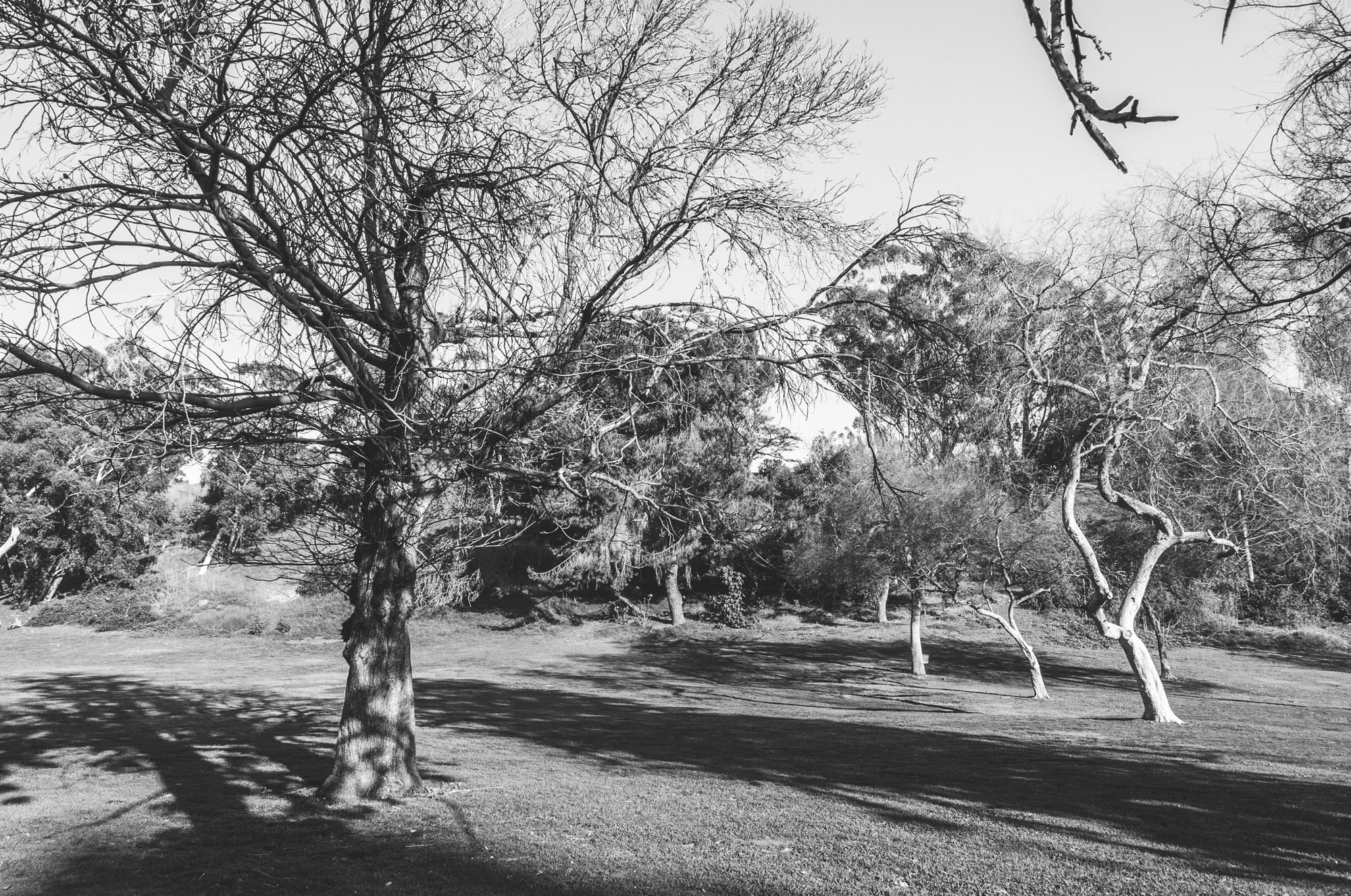 Elysian Park, Los Angeles, CA