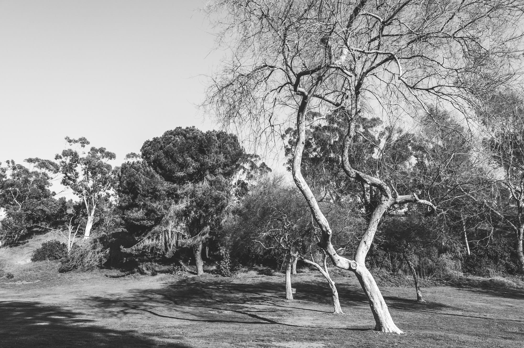 Elysian Park, Los Angeles, CA