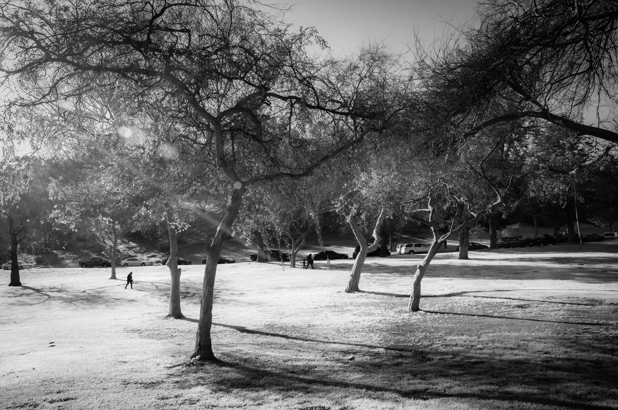 Elysian Park, Los Angeles, CA