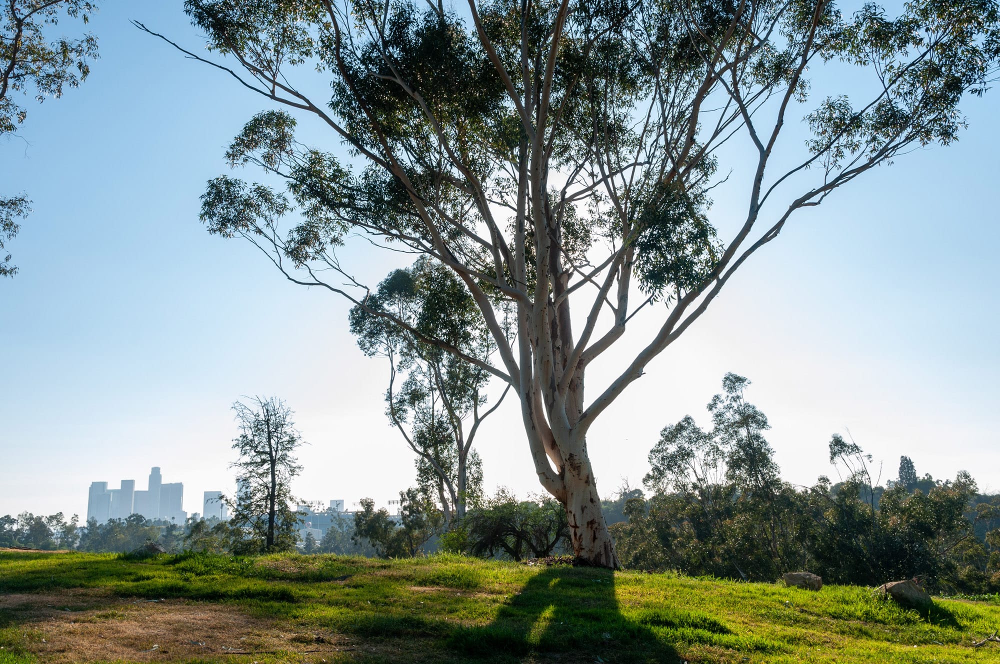Elysian Park, Los Angeles, CA
