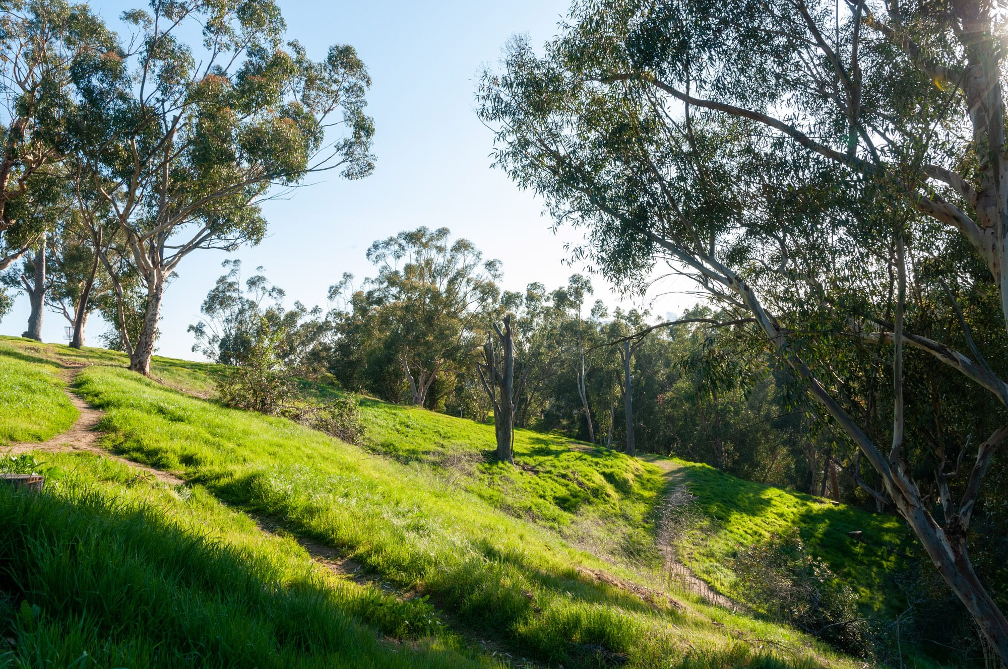 Elysian Park, Los Angeles, CA