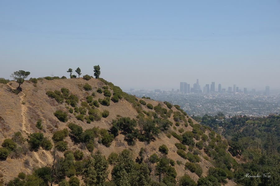 Hollywood