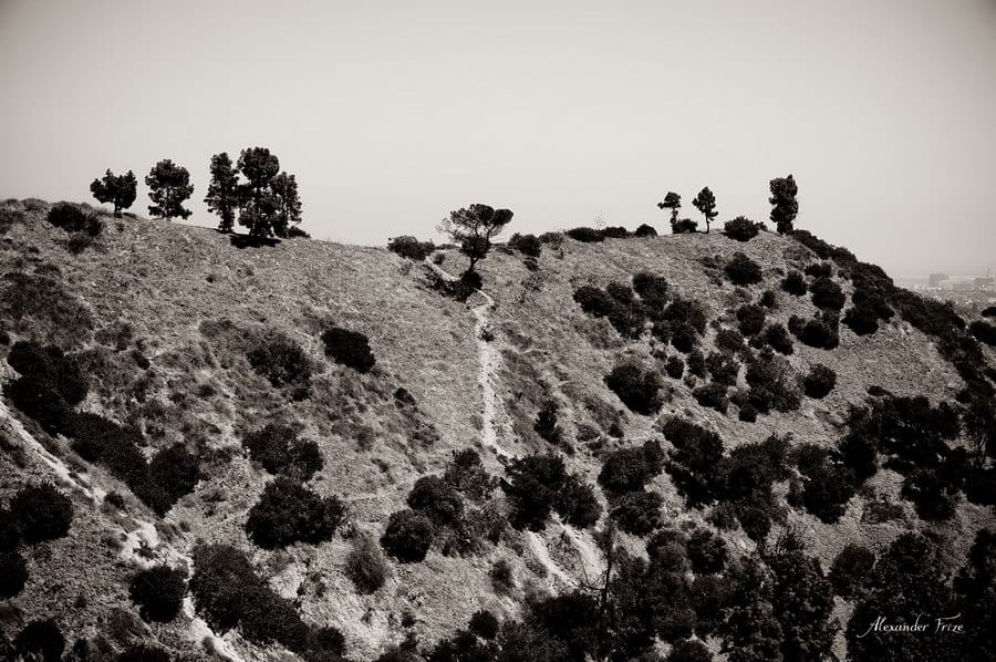 Hollywood