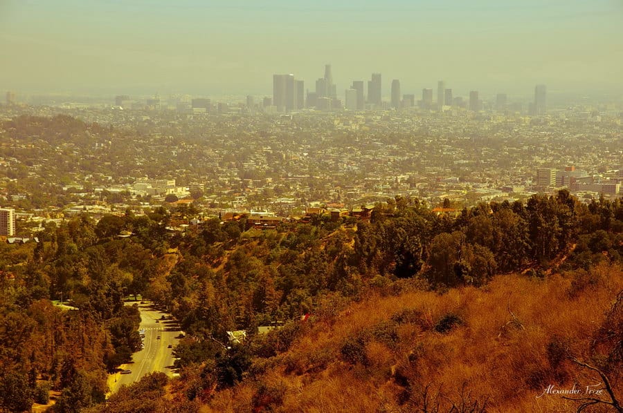 Hollywood