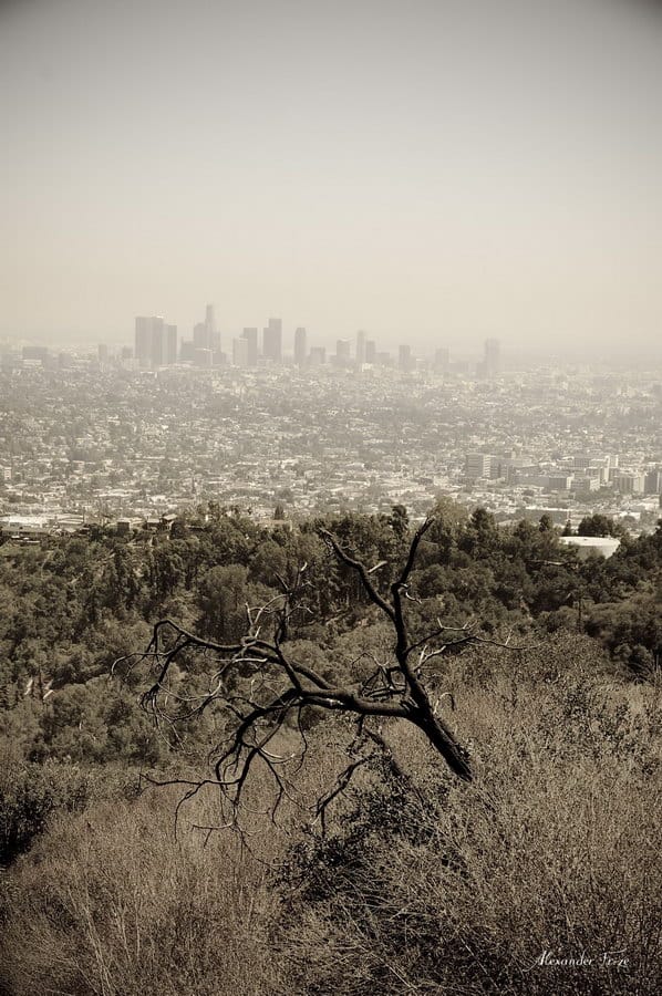 Hollywood