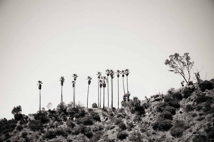 Hollywood