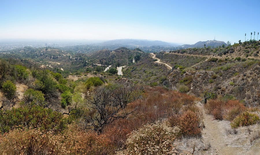 Hollywood