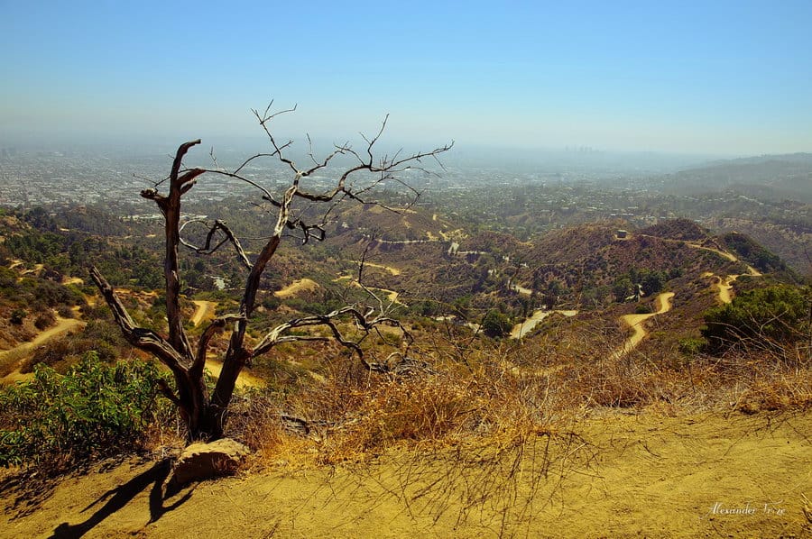 Hollywood