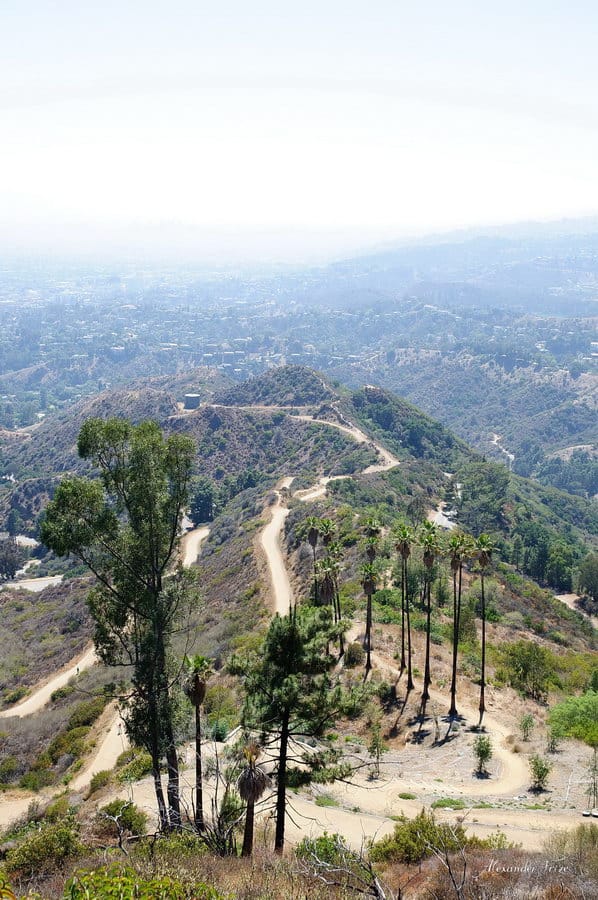 Hollywood