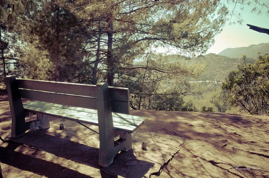 Hollywood