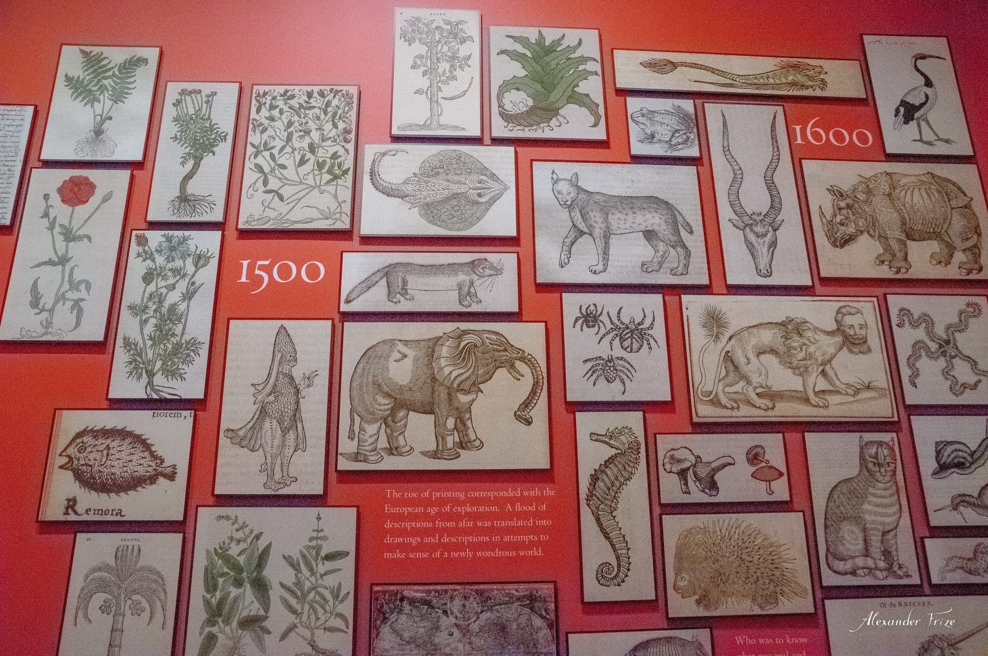 Huntington library