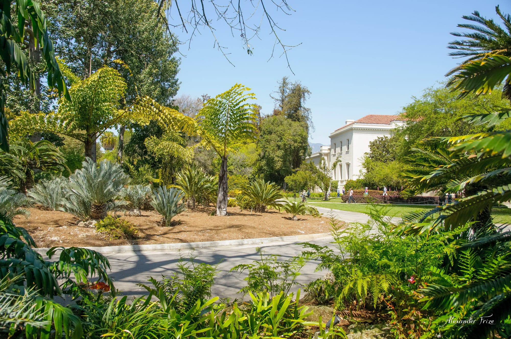 Huntington library