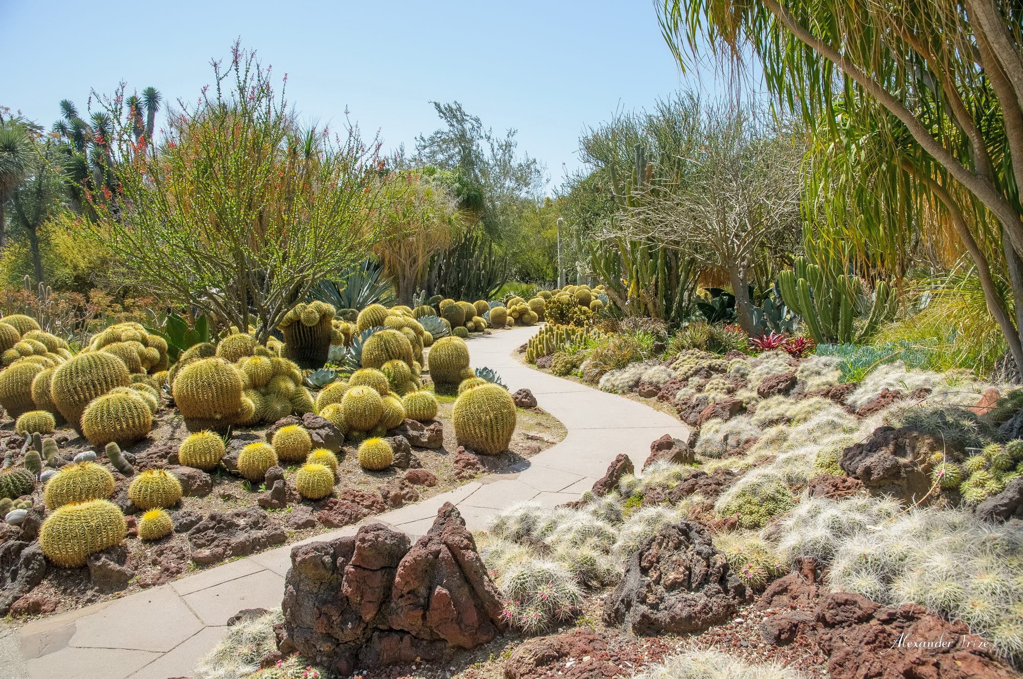 Huntington library