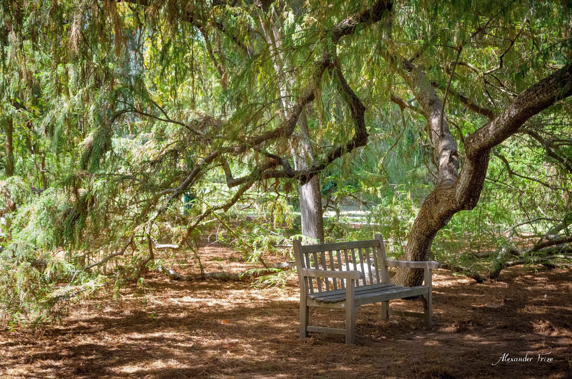 Huntington library