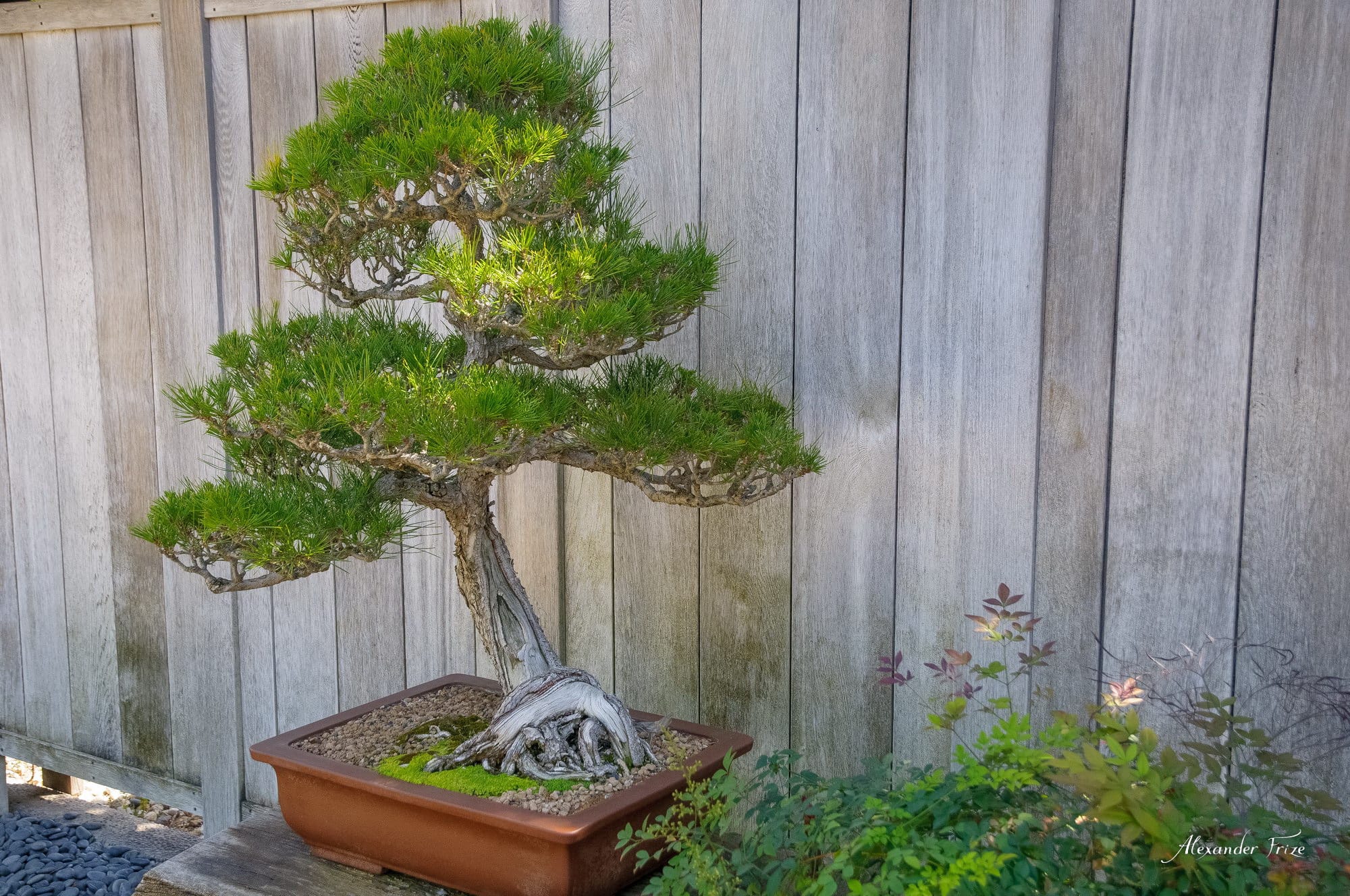 Huntington library