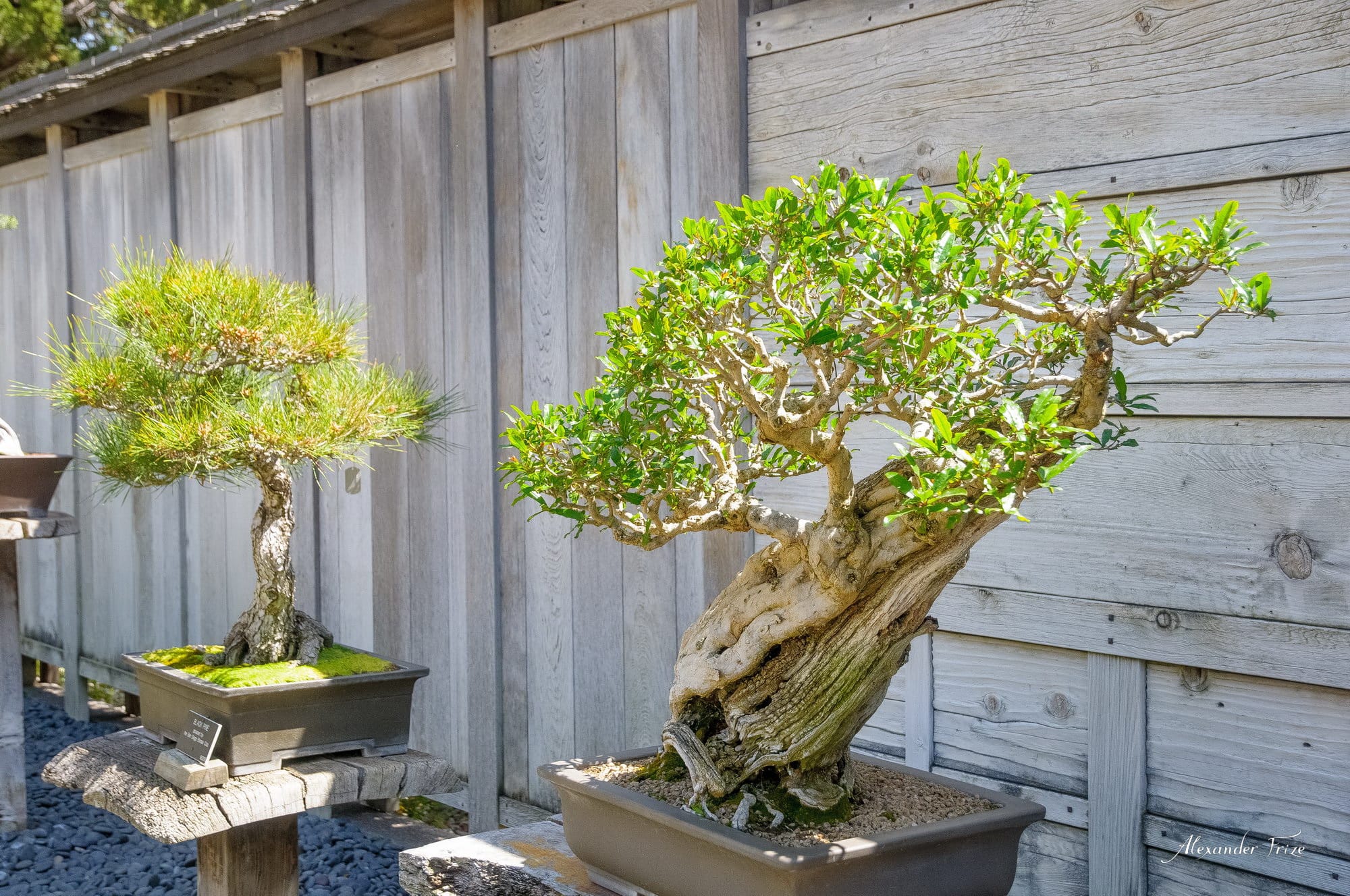 Huntington library