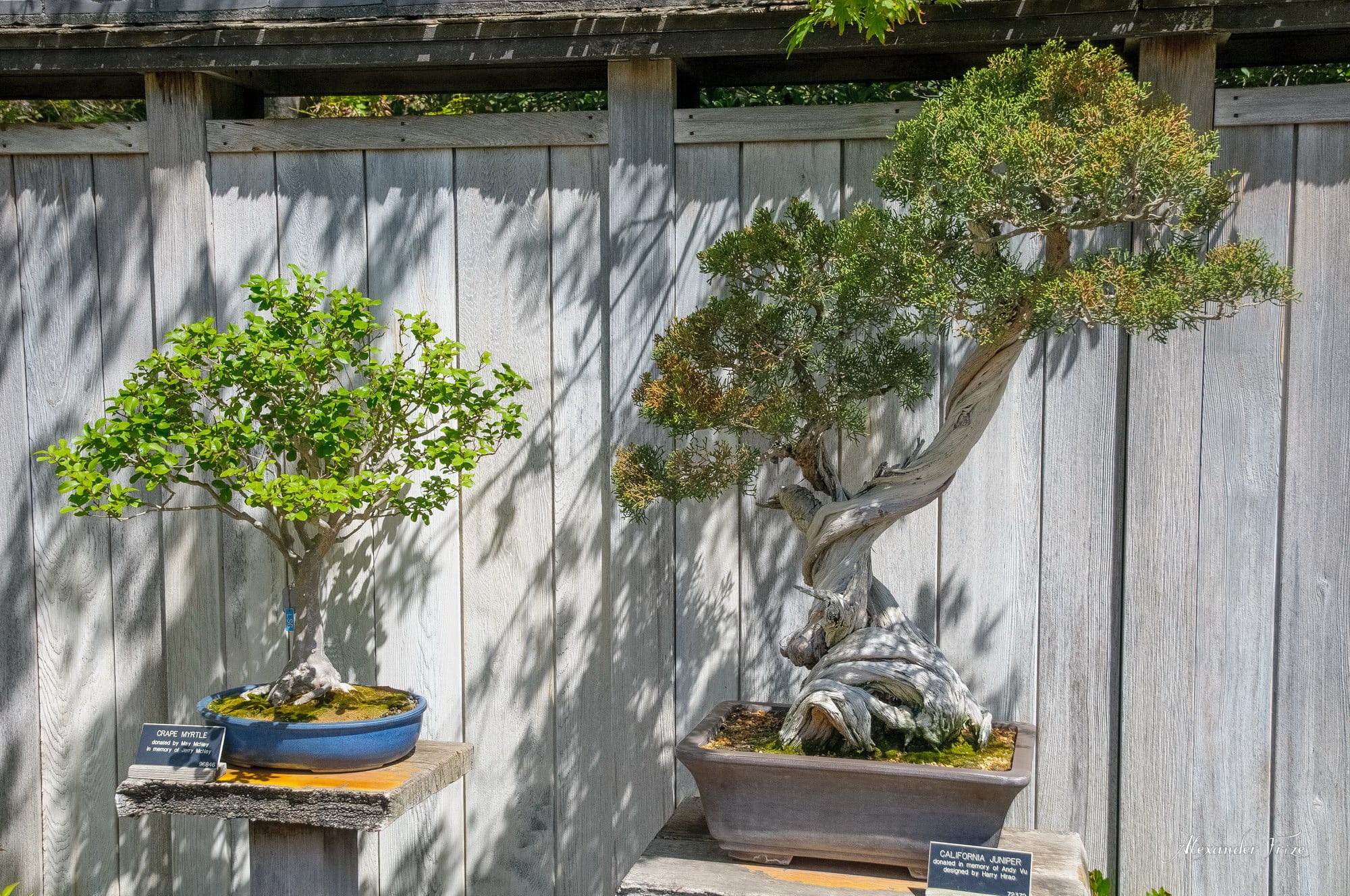 Huntington library