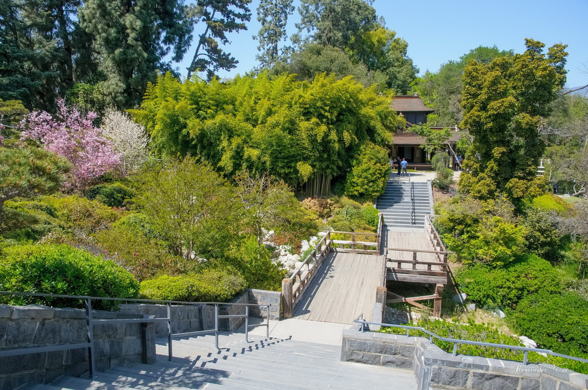 Huntington library