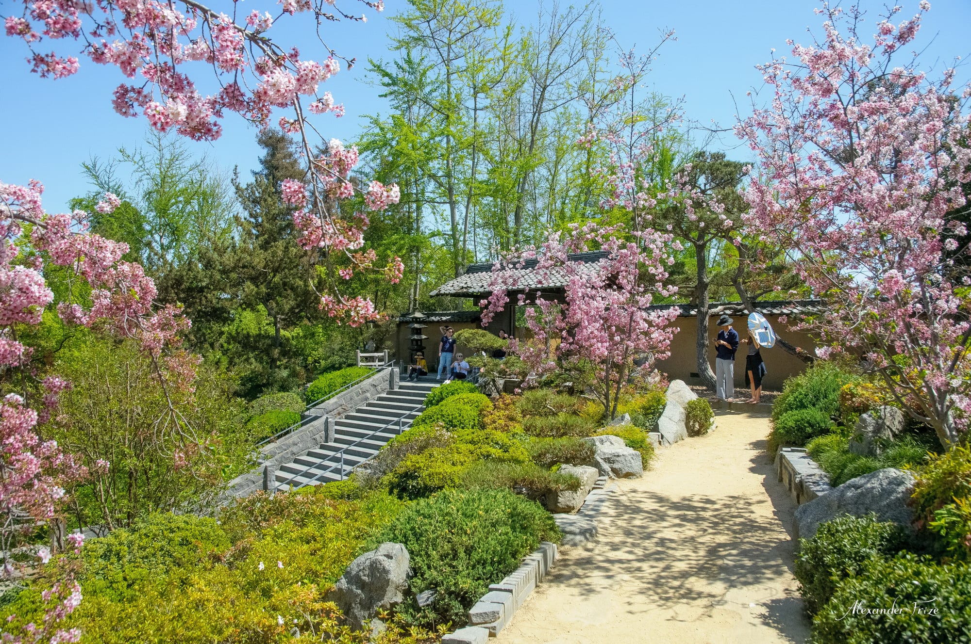 Huntington library