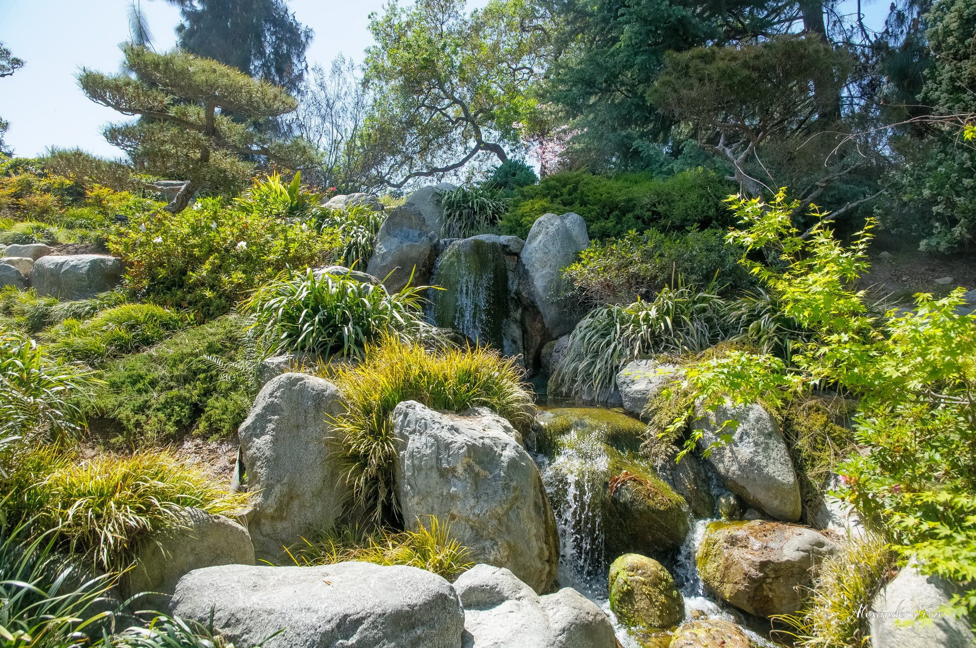Huntington library