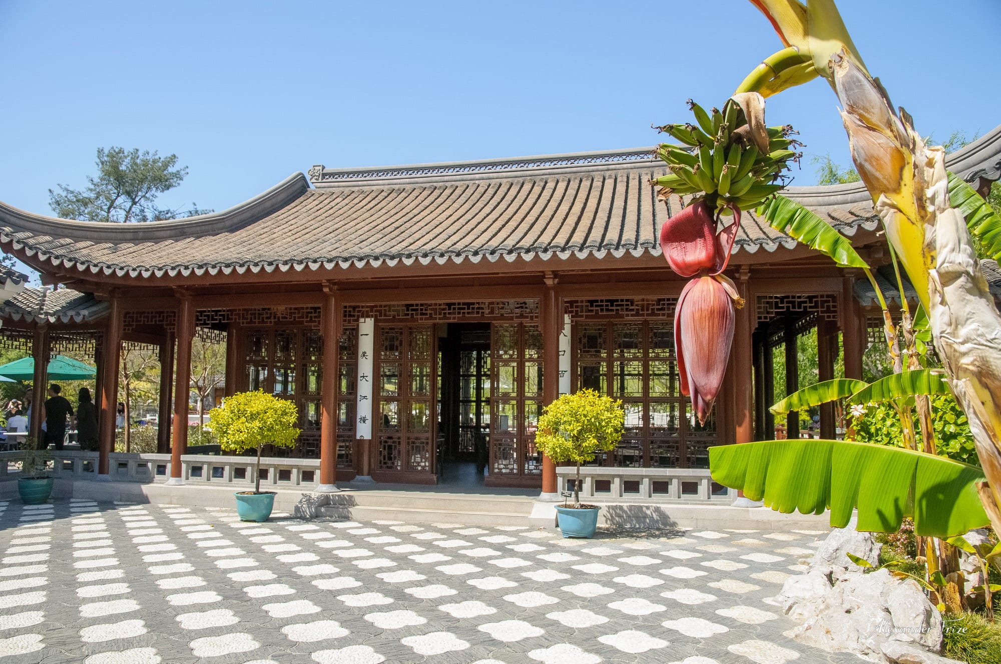 Huntington library