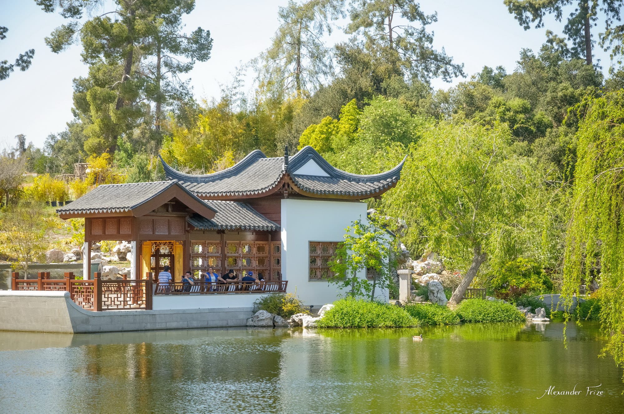 Huntington library