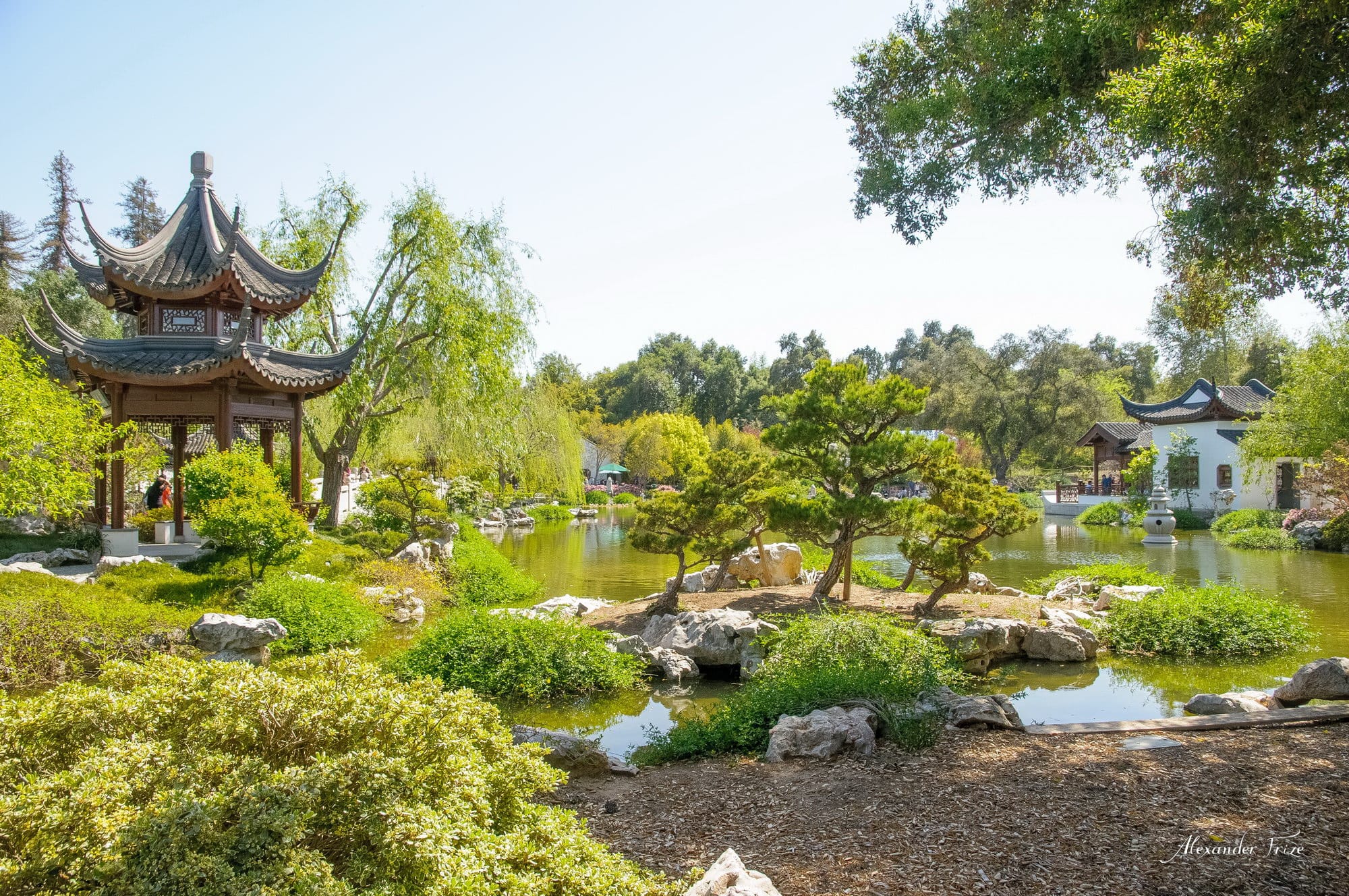 Huntington library