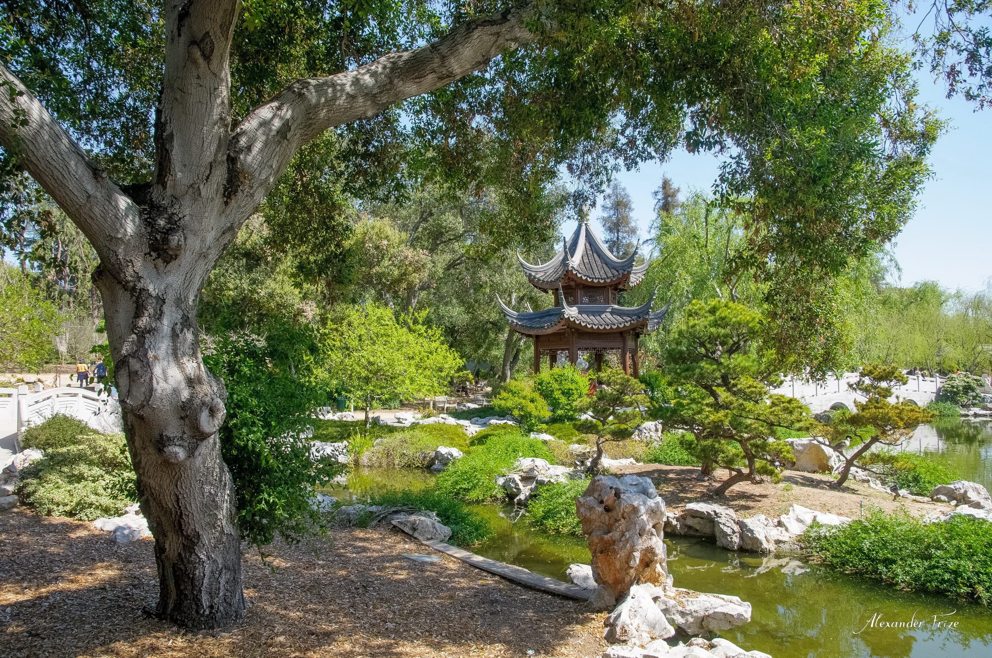 Huntington library