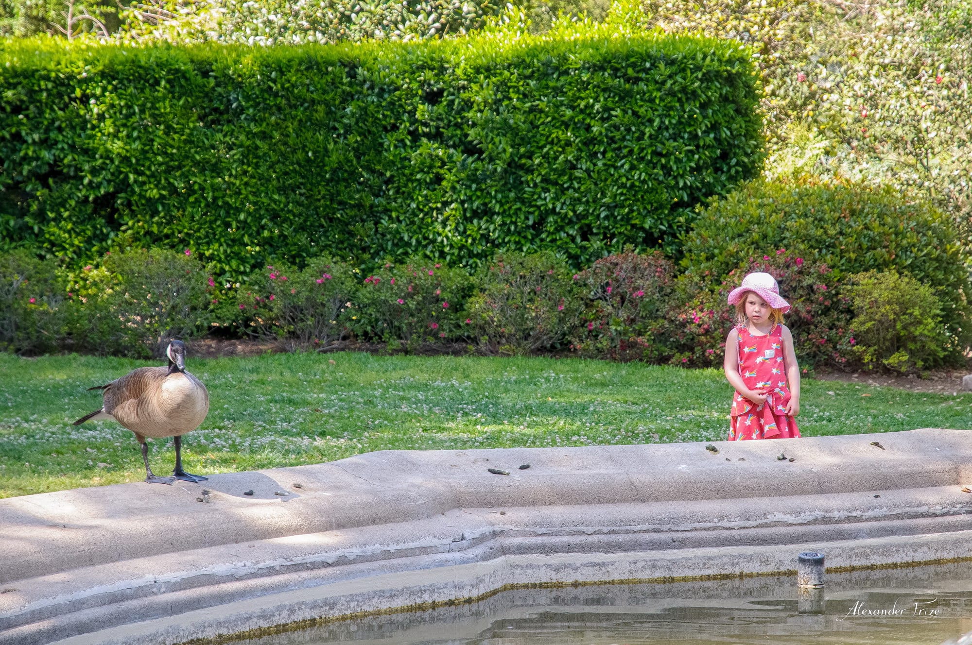 Huntington library