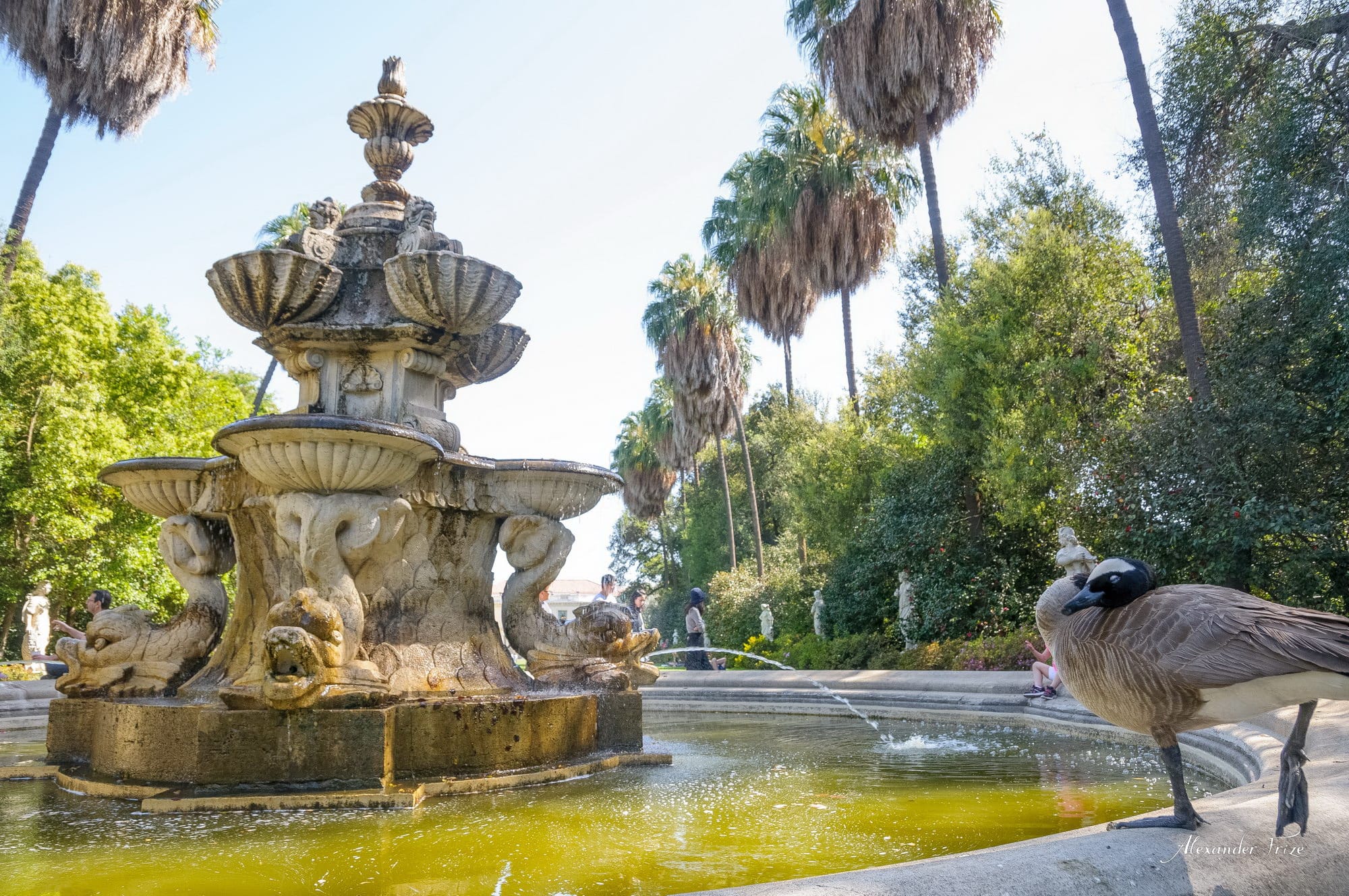 Huntington library