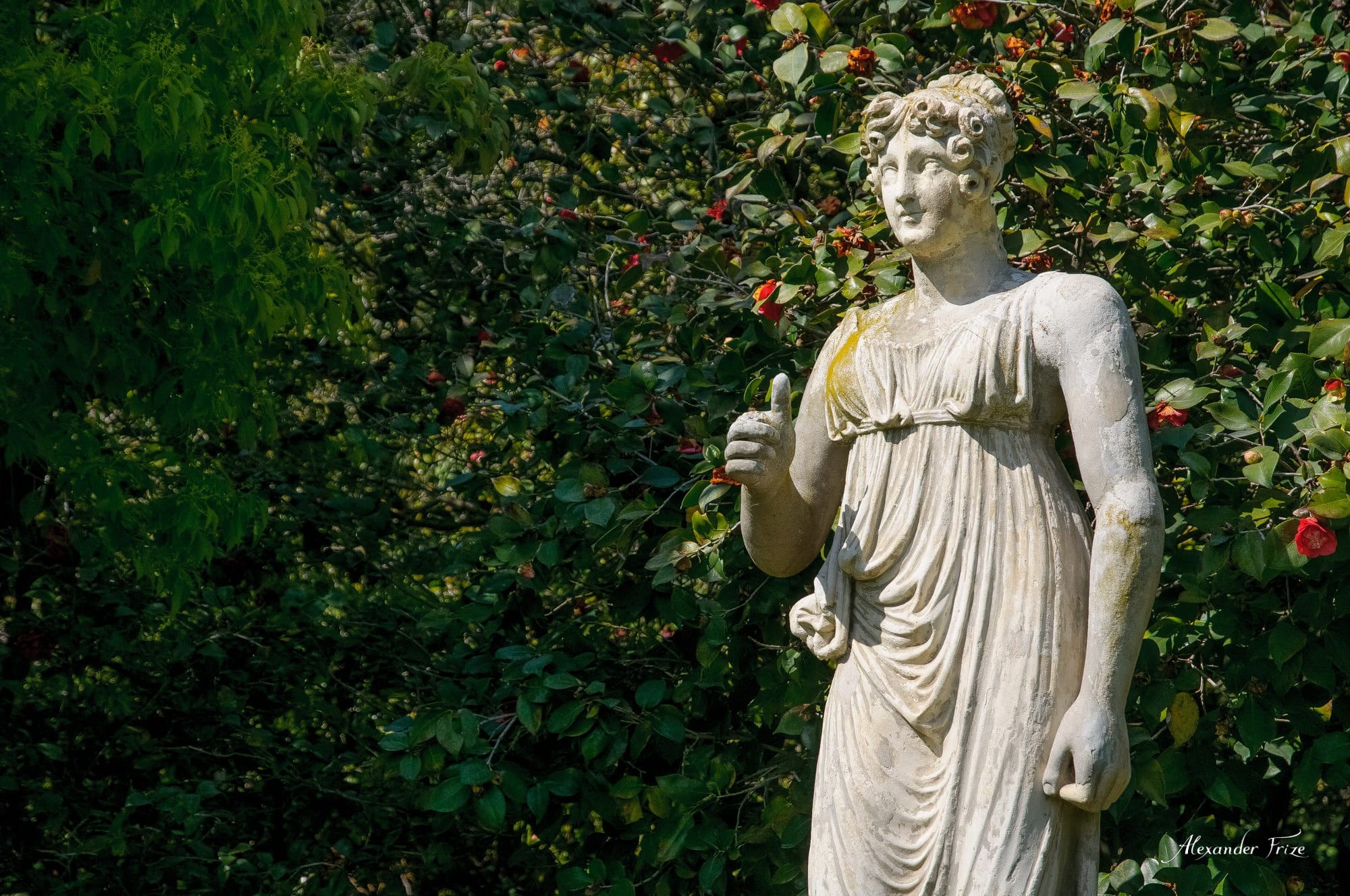 Huntington library
