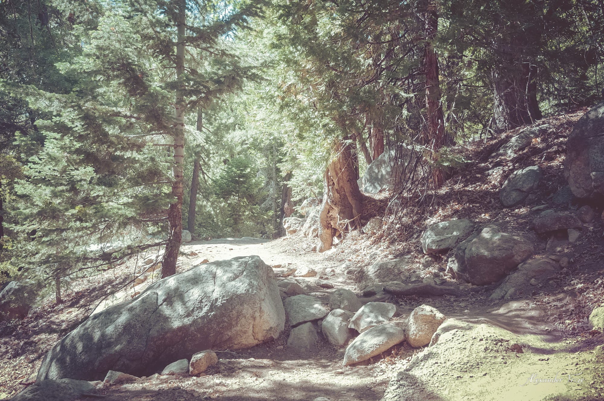 Idyllwild-2016