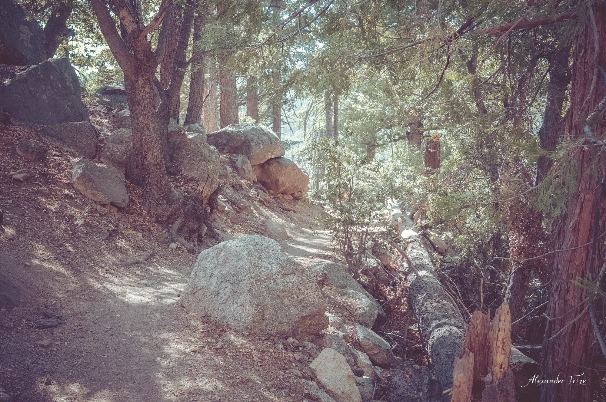 Idyllwild-2016