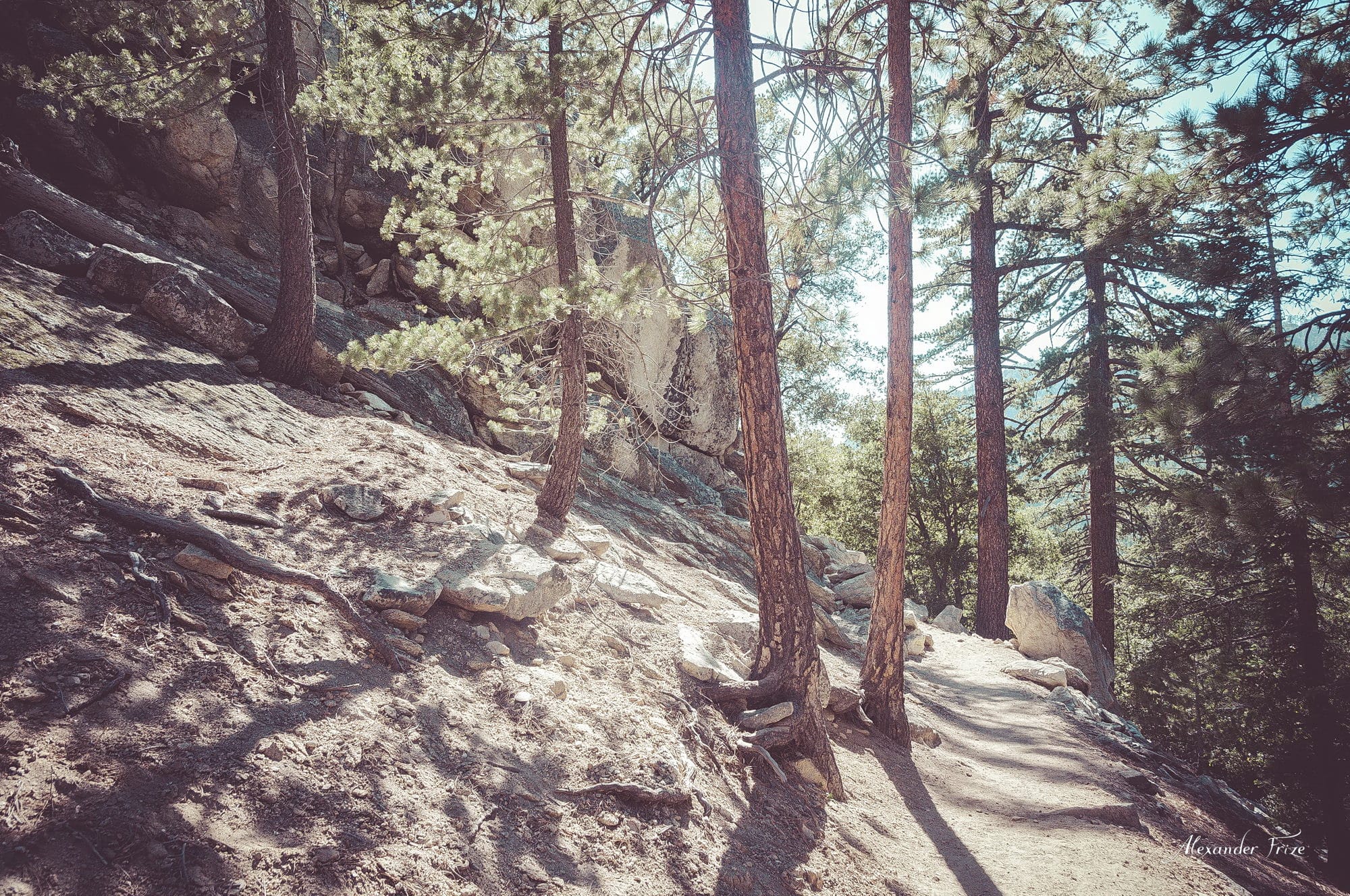 Idyllwild-2016
