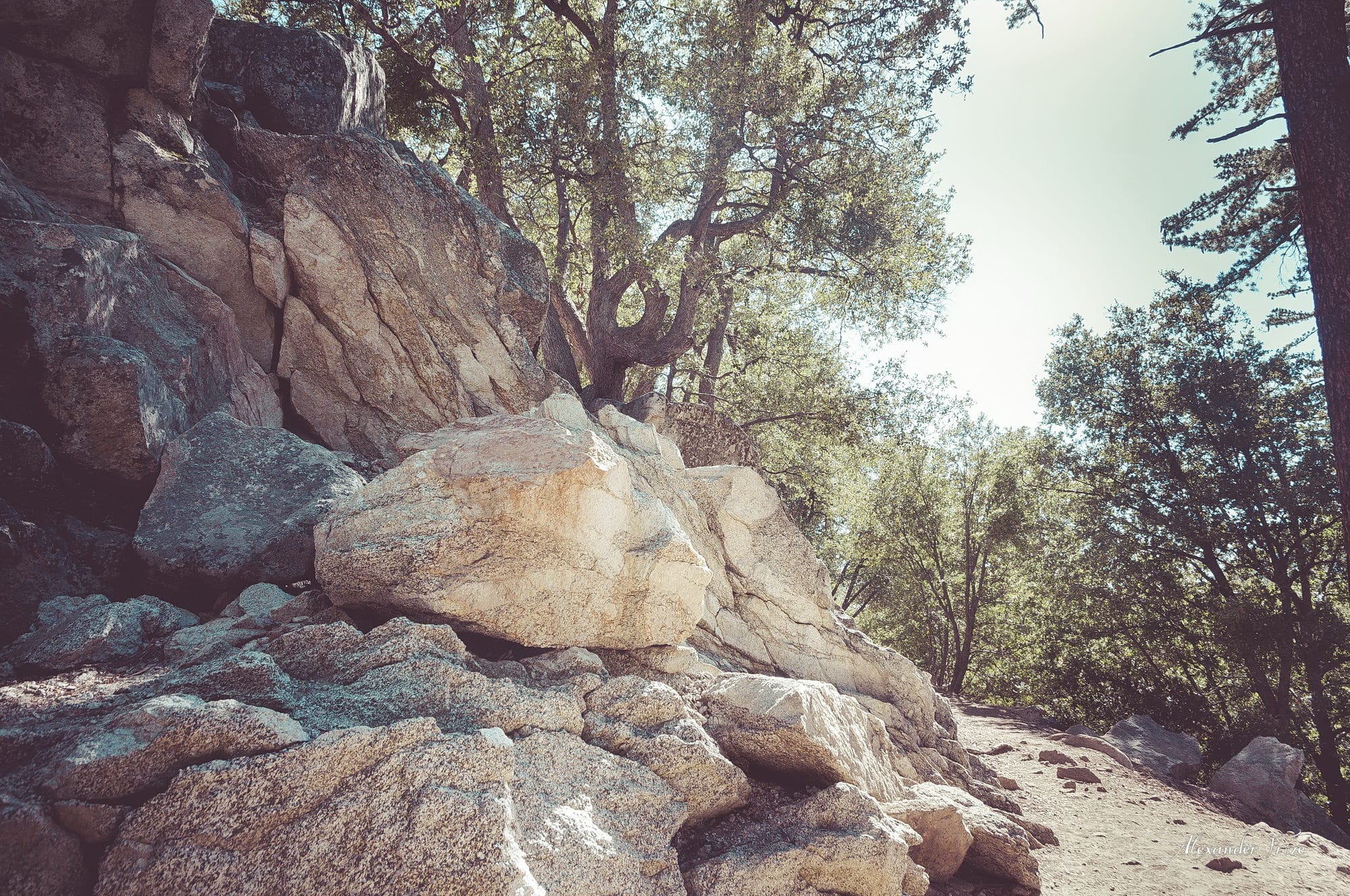 Idyllwild-2016
