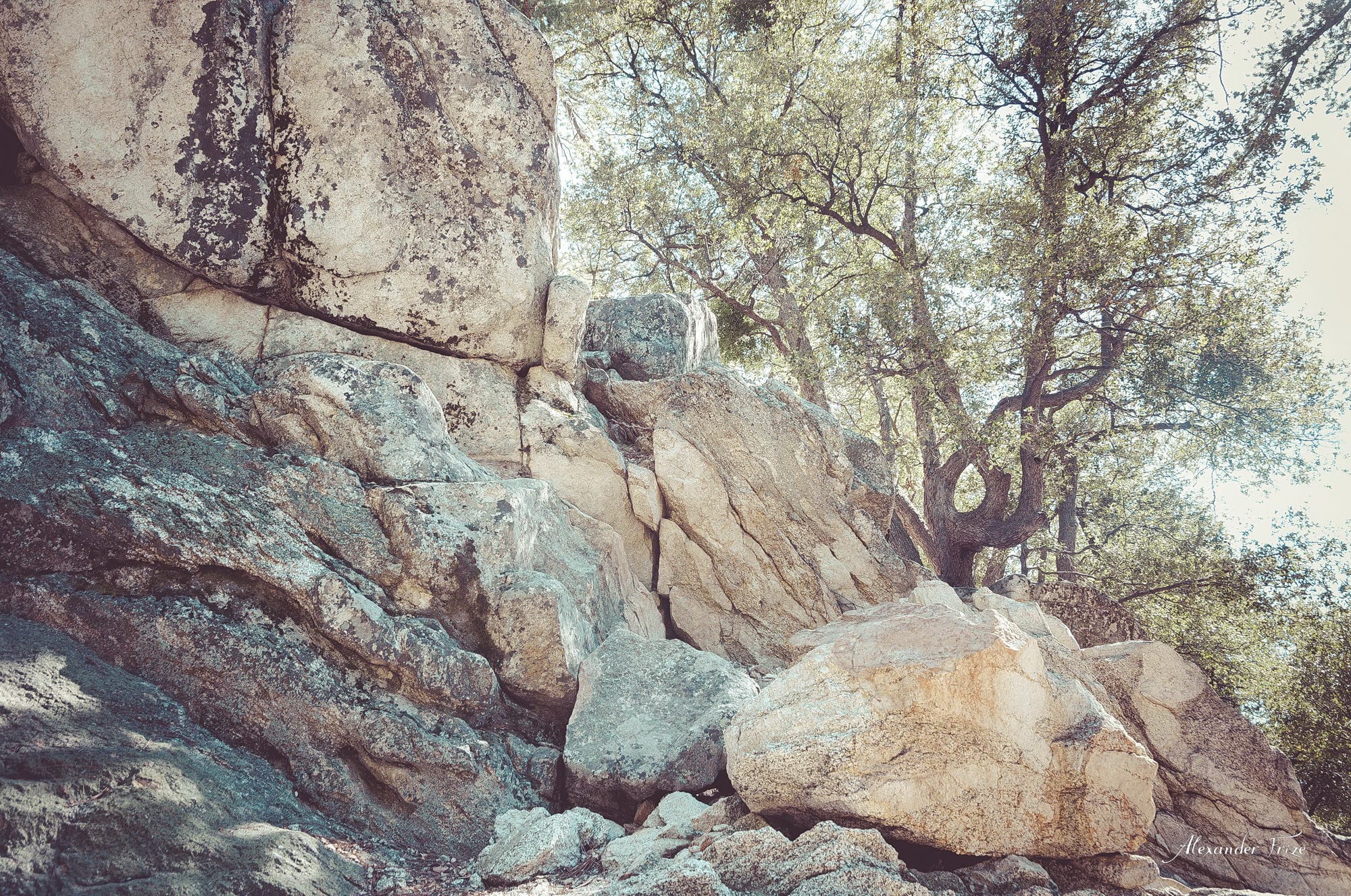 Idyllwild-2016