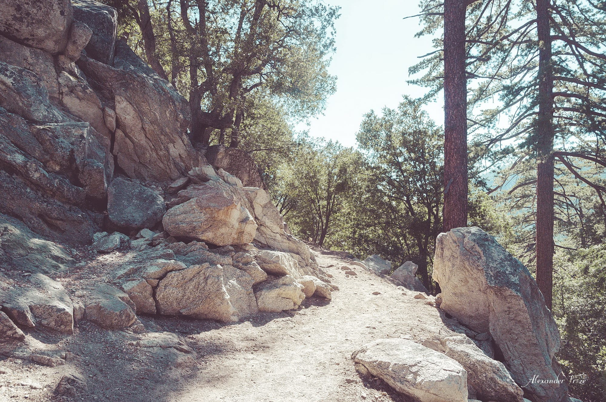 Idyllwild-2016