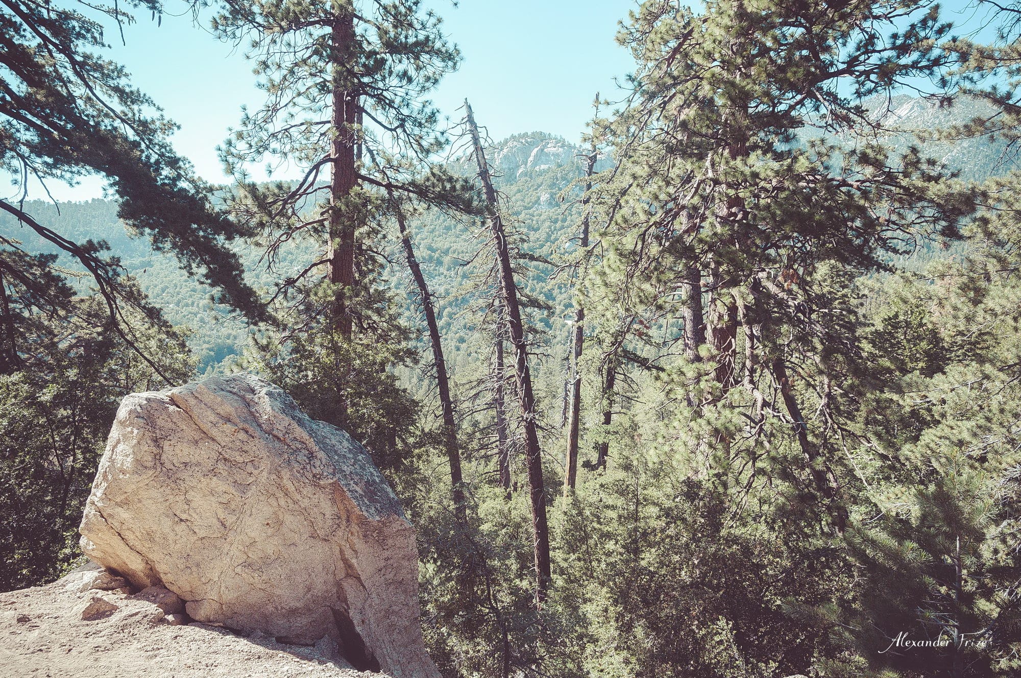 Idyllwild-2016