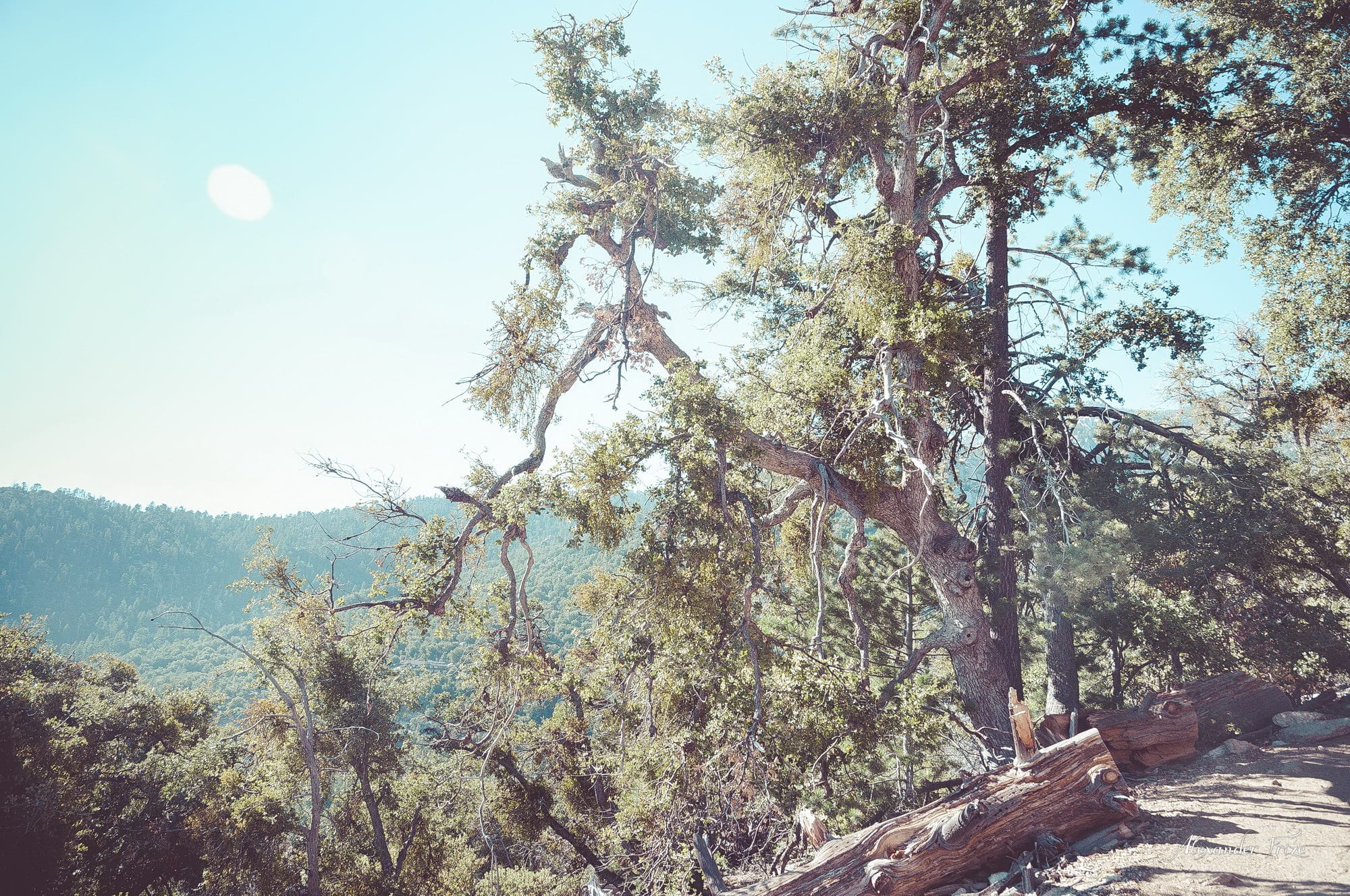 Idyllwild-2016