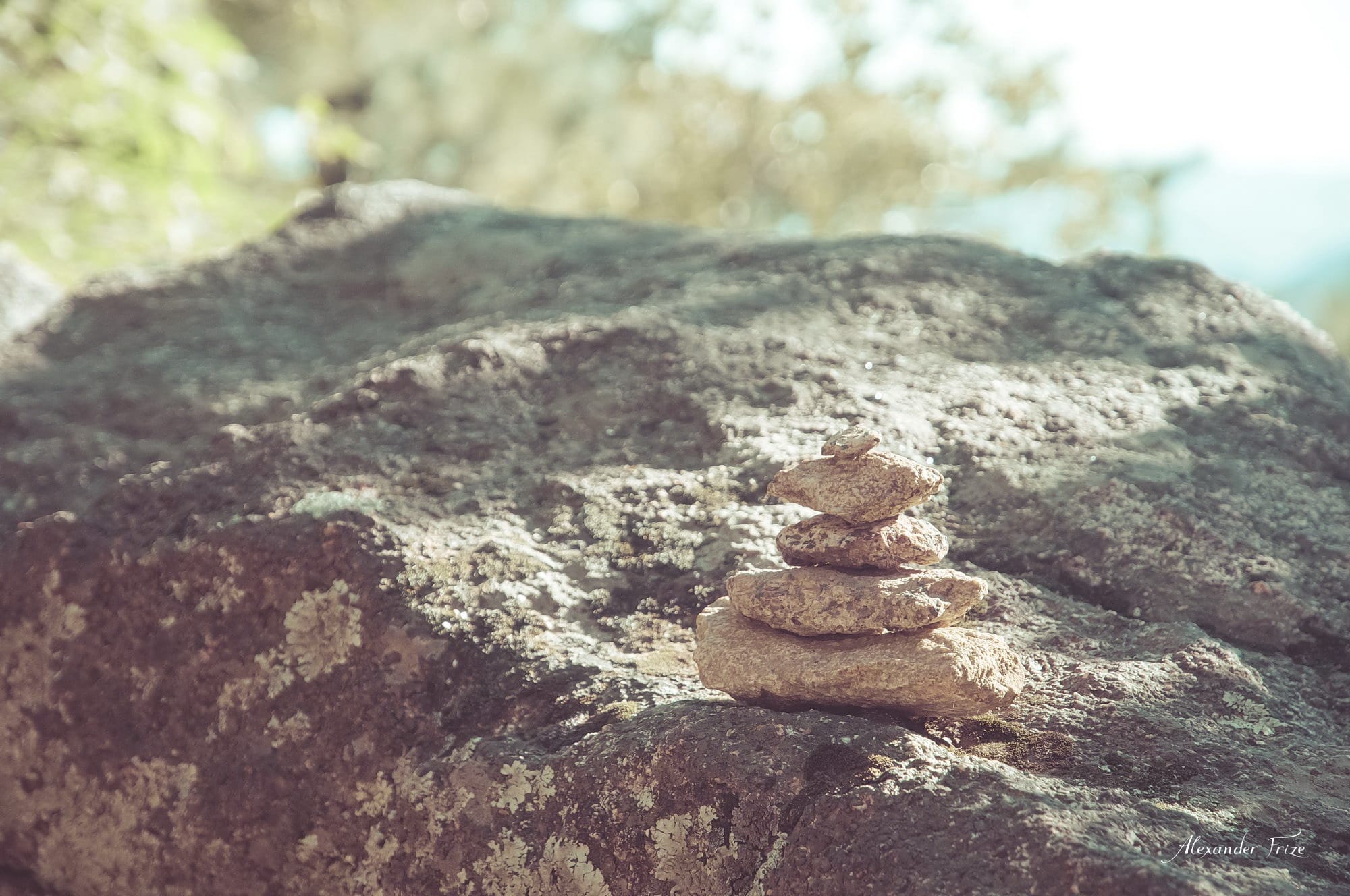 Idyllwild-2016