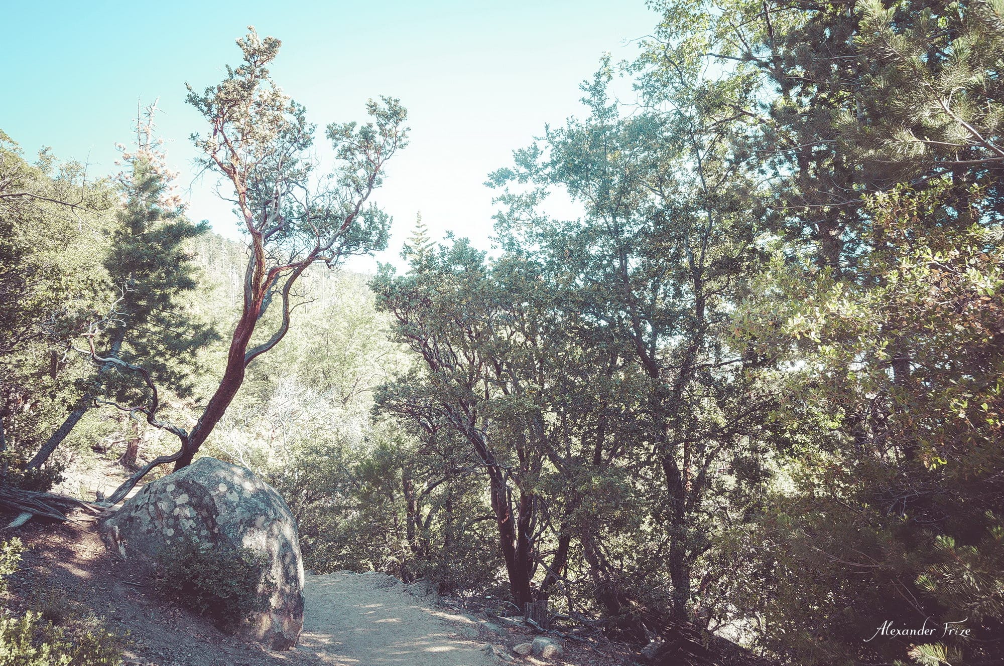 Idyllwild-2016