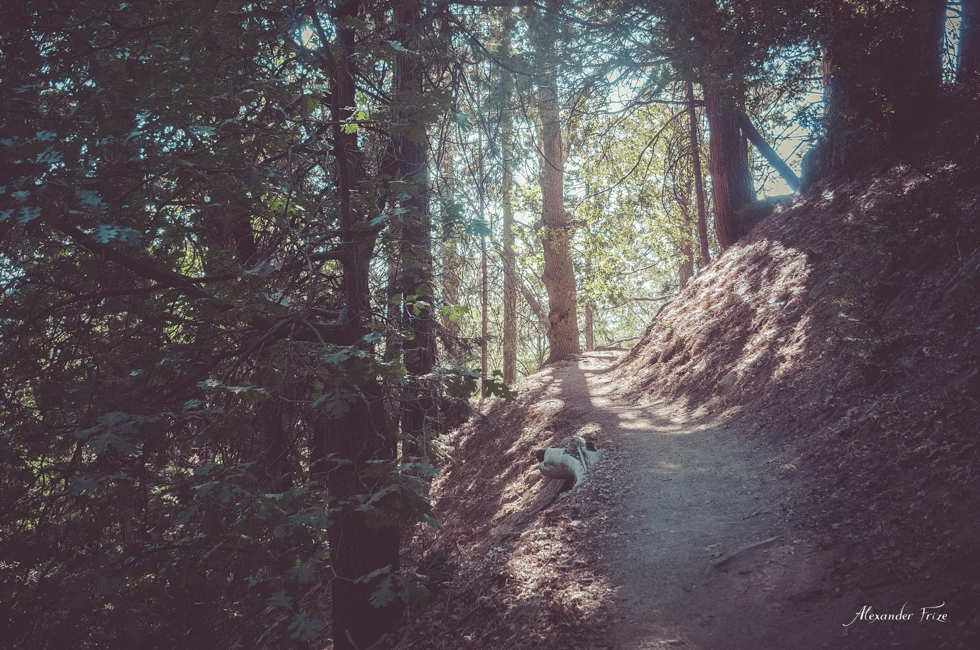 Idyllwild-2016