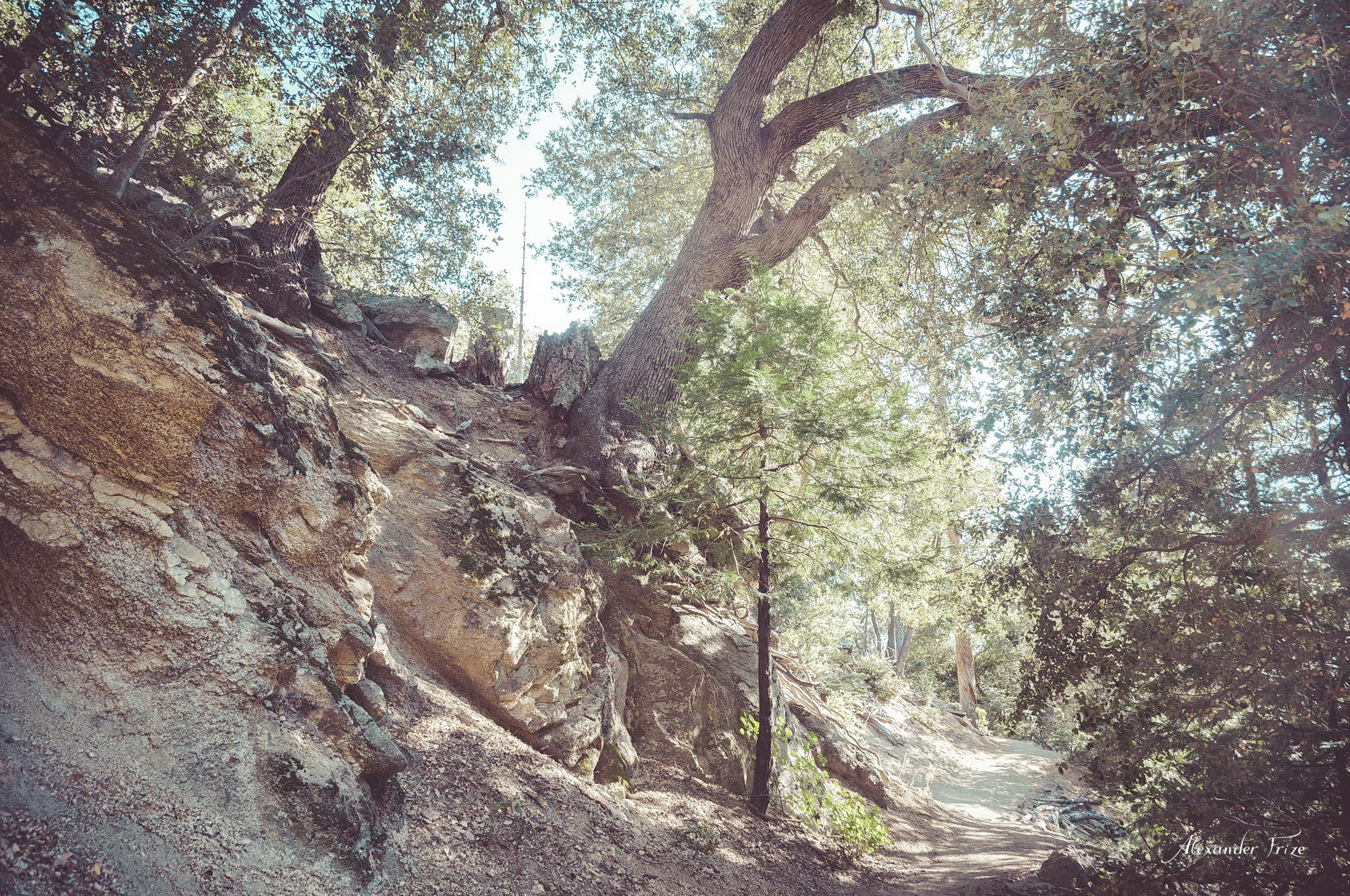 Idyllwild-2016