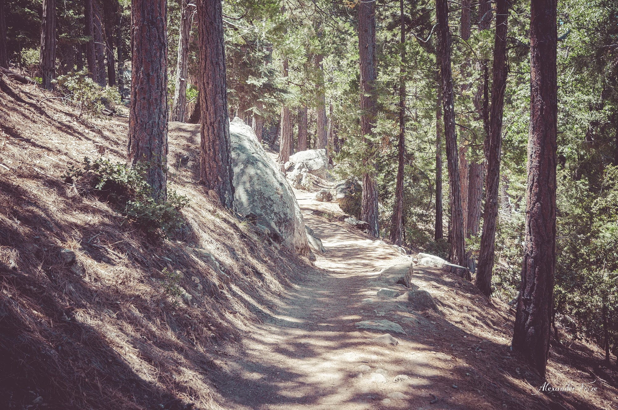 Idyllwild-2016