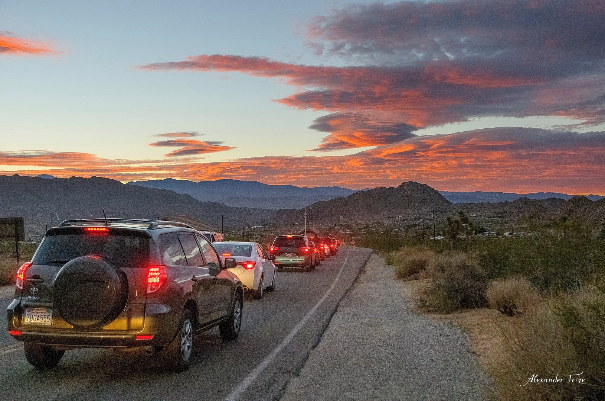 Joshua Tree